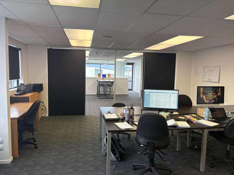 52 White Street Fenton Park_1