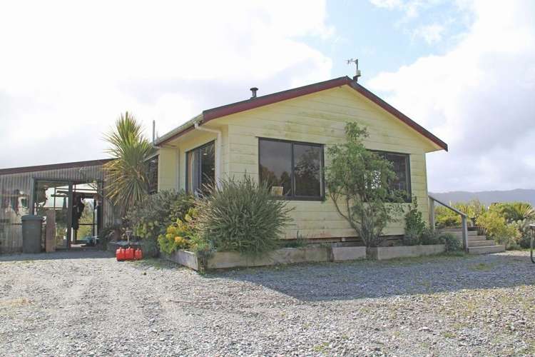 Waiho Flat Road Franz Josef Glacier_15