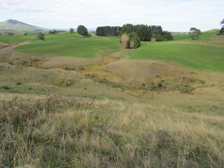 Te Tahi Road Pirongia_1