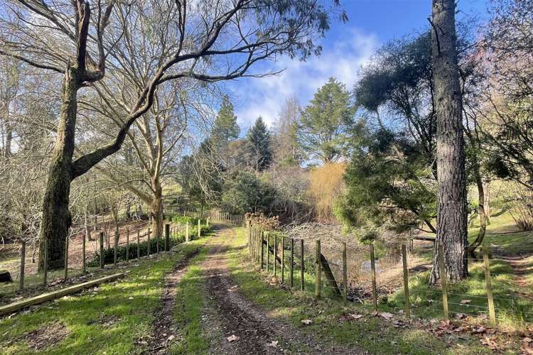 346 Tauraroa Valley Road Maihiihi_22