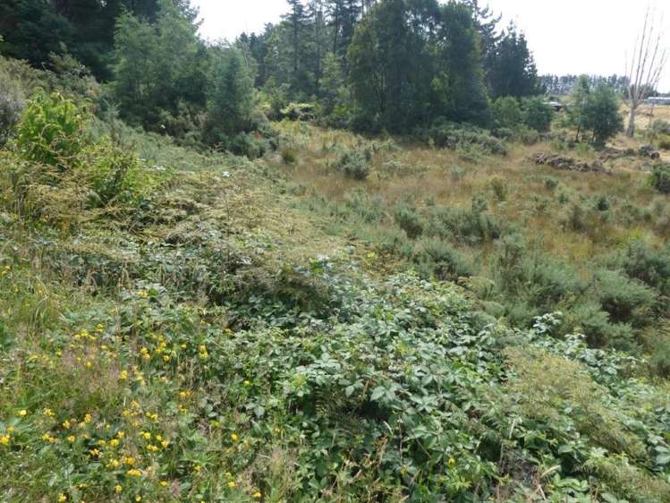 Keogans Road Hokitika_12