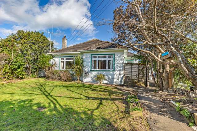 13 Kings Drive Levin_1