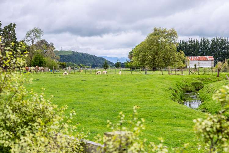 13 Paterson Street Pahiatua_20