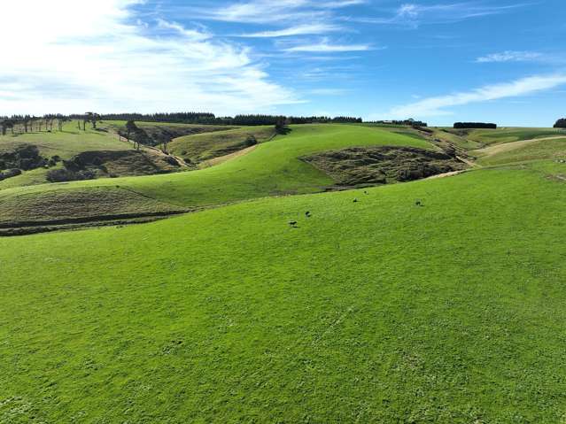 269 Oakland Road Mataura Island_3