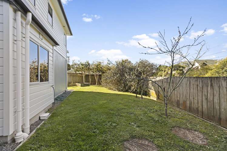 5a Stephen Street Johnsonville_13