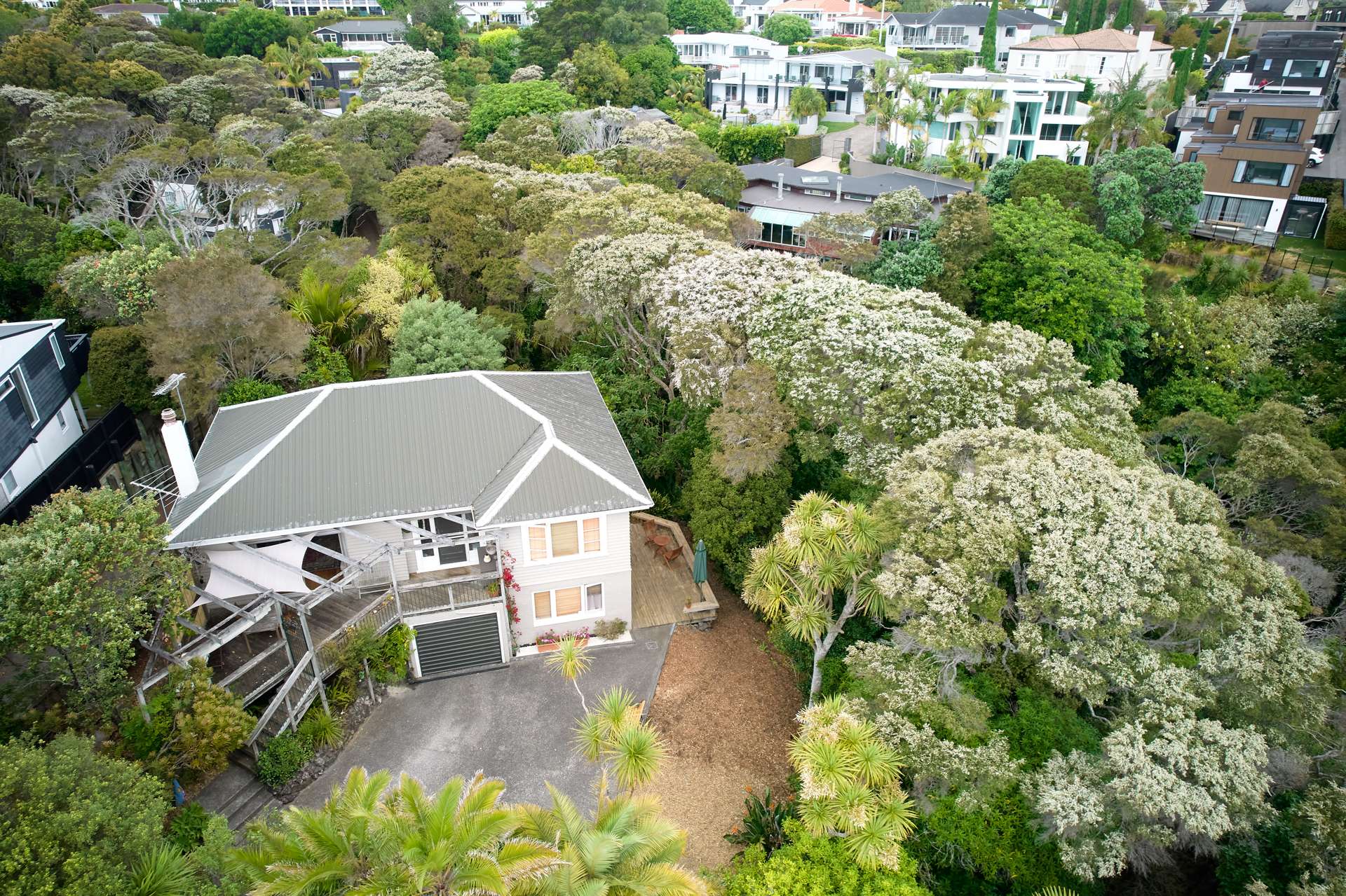 50 Tarawera Terrace Saint Heliers_0