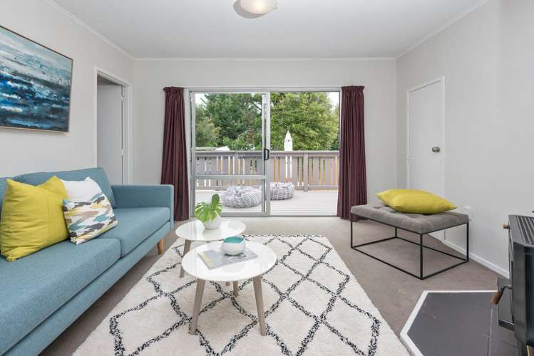 65 Vincent Street Howick_5