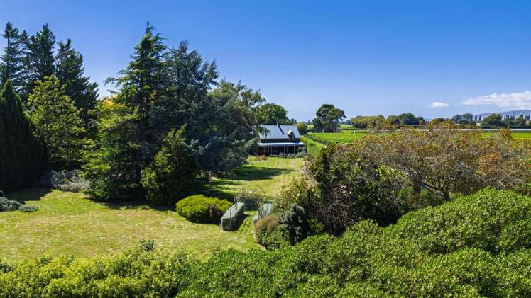 1353 State Highway 6 Renwick_28