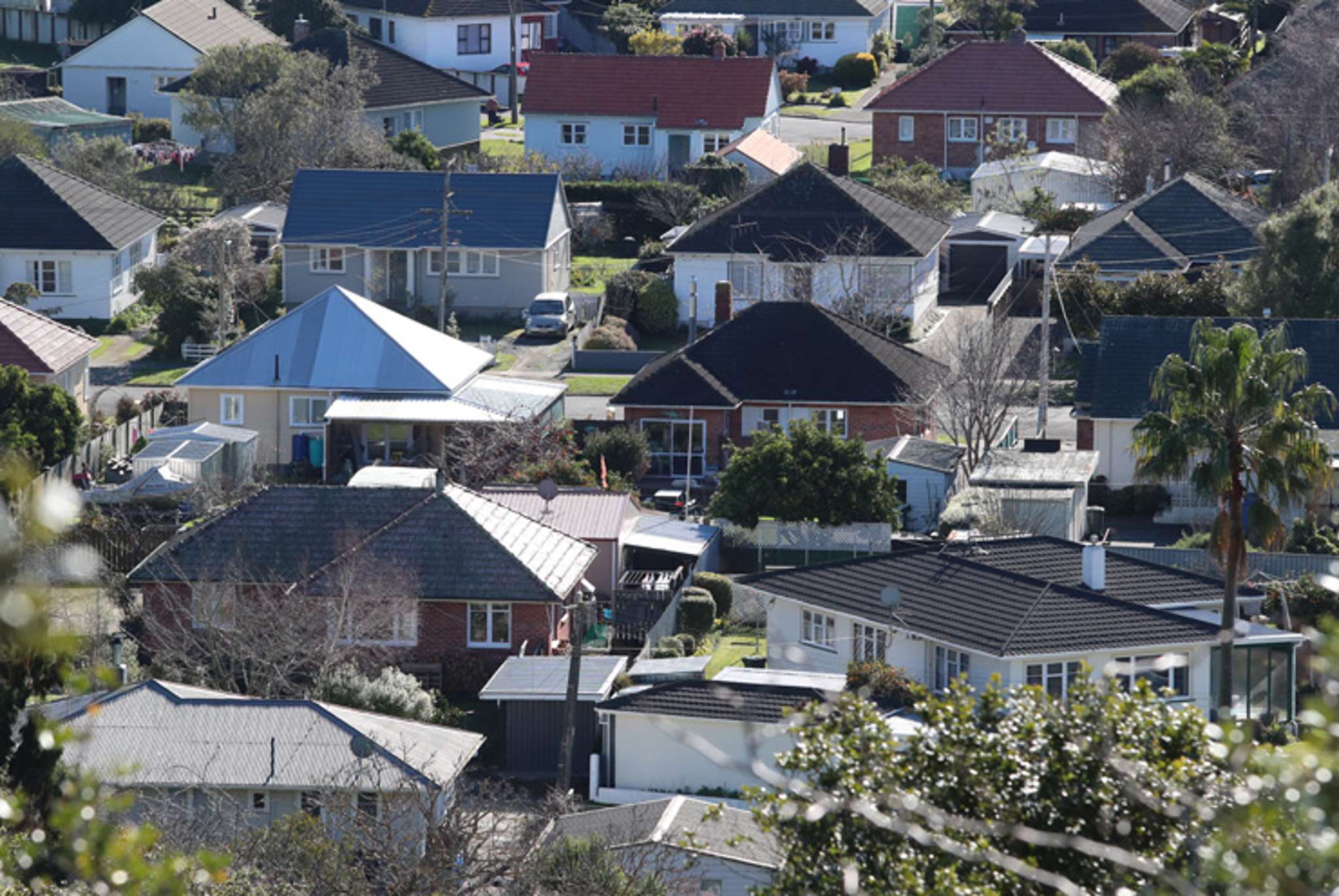 Auckland buyers can get a bargain and a better life in Whanganui, says agent