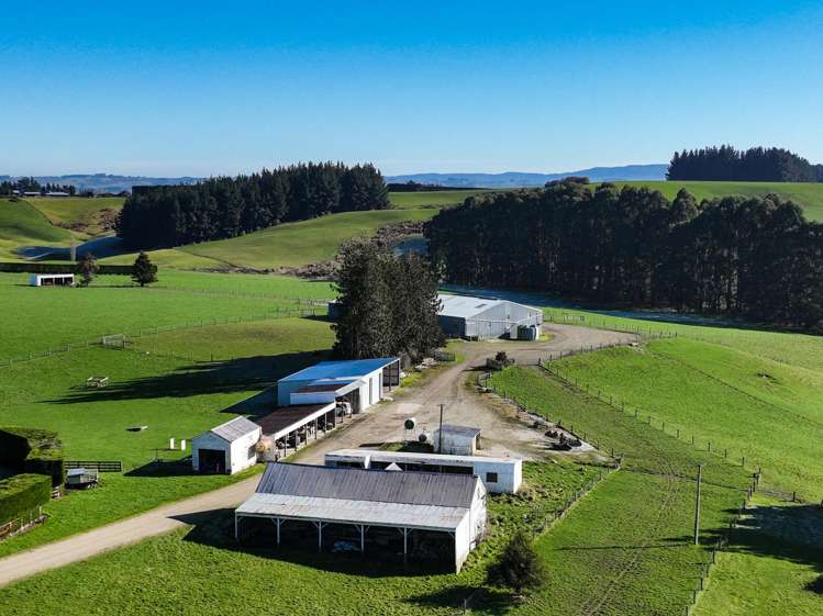 125B Davidson Road Mimihau_17