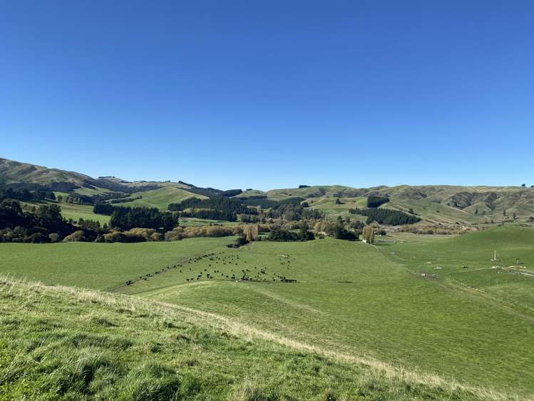 48 Heathfield Road Waipara_20