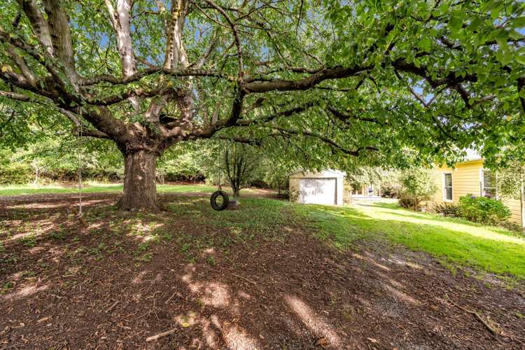 13 Edievale Road Tapanui_15