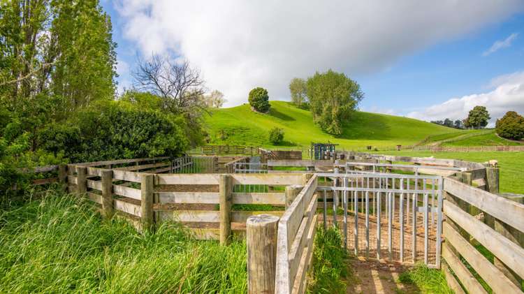 1163 Mangamako Road Ohingaiti_23