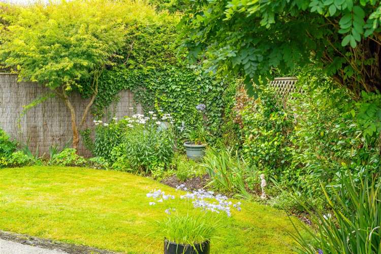 61b Cornwall Street Masterton_12