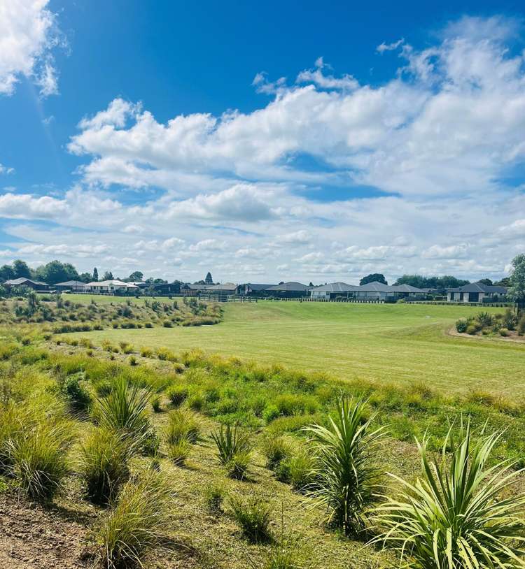 47 Hampton Terrace Matamata_7