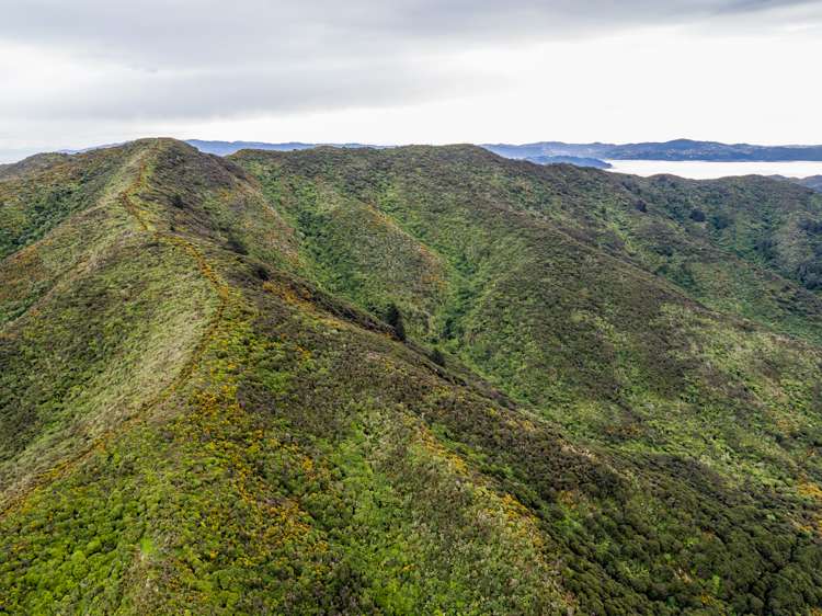 828 Coast Road Wainuiomata Coast_8