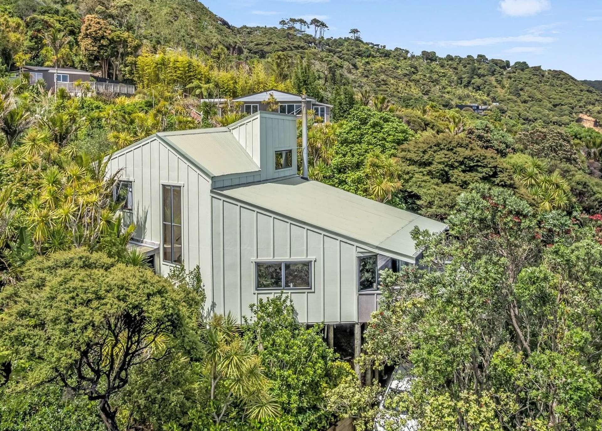 117 Seaview Road Piha_0