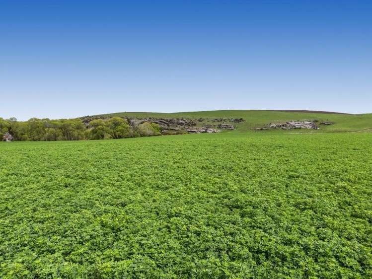 8727 Hyde-Middlemarch Road Hyde_15