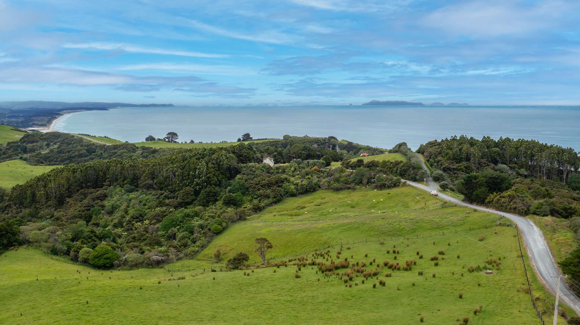 55 M Greenwood Road Leigh_0