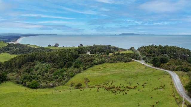Stunning Coastal Bush Block