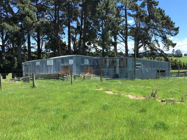 308 Waiwera Station Road Clinton and Surrounds_16