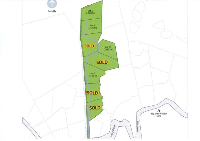 Lot 6 Avery Road Eskdale_1