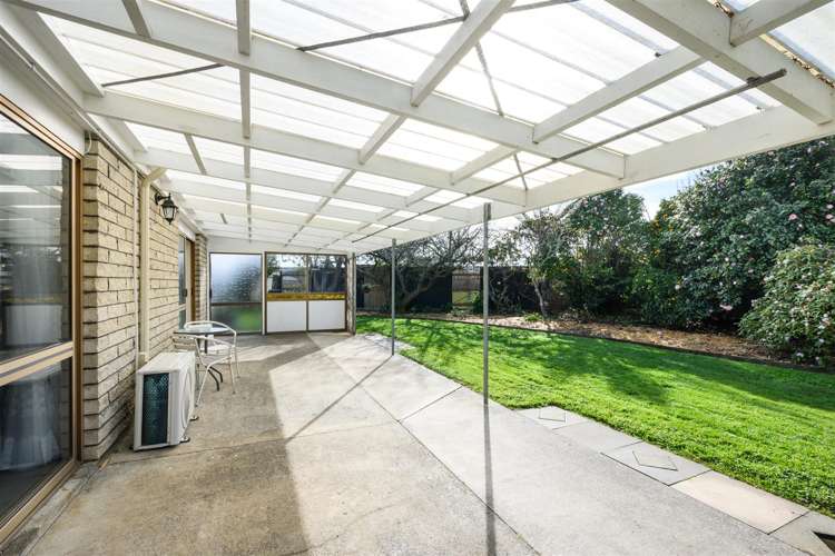 6 Flower Street Bulls_12