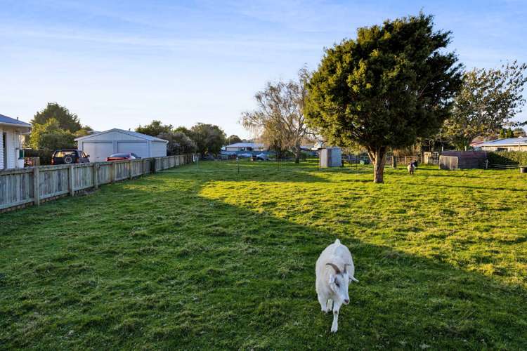 6 Hussey Street Waverley_2