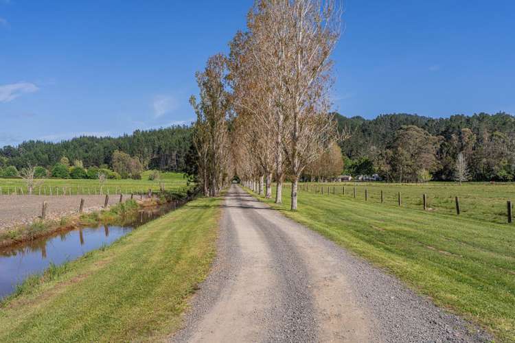 3263 SH 25 Tairua-Whitianga Rd Whitianga_52