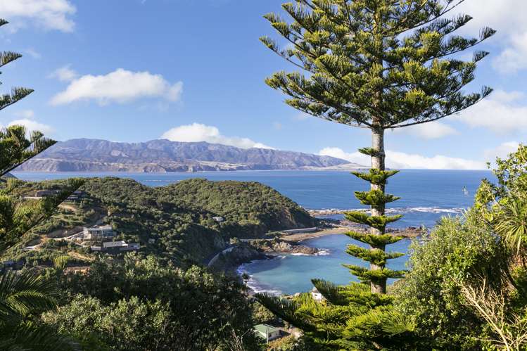 181 Buckley Road Southgate_3