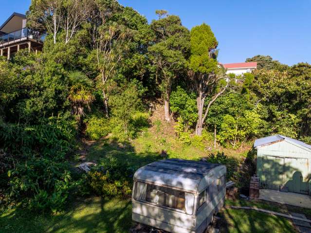41B Wallis Street Raglan_4