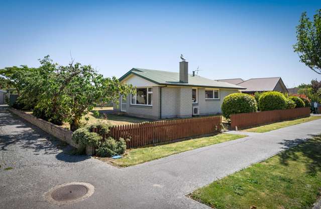 Solid Starter - Potential Plus