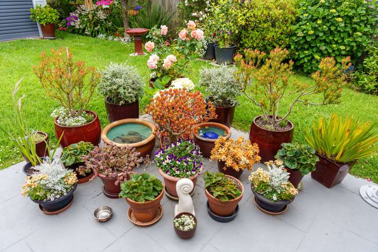 2 Mclaren Place Otaki_20