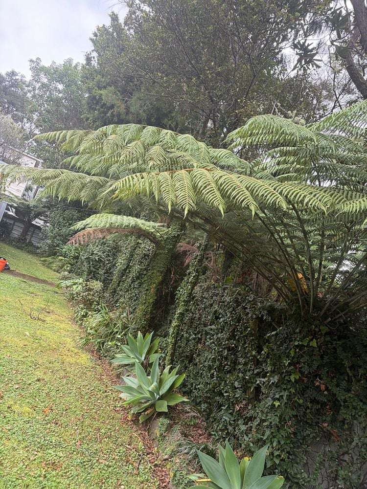 1078 Scenic Drive North Swanson_8