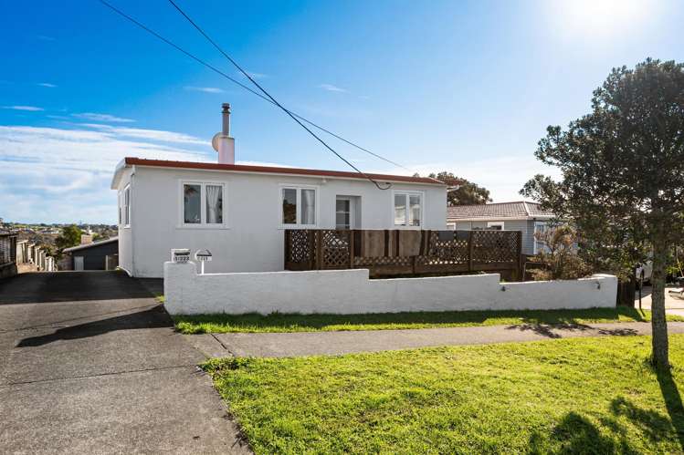 223 Sturges Road_0