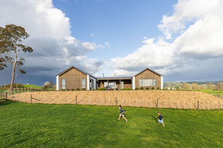 1136 Roto O Rangi Road Rotoorangi_5