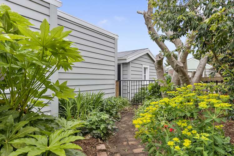 428 Thames Street Morrinsville_20