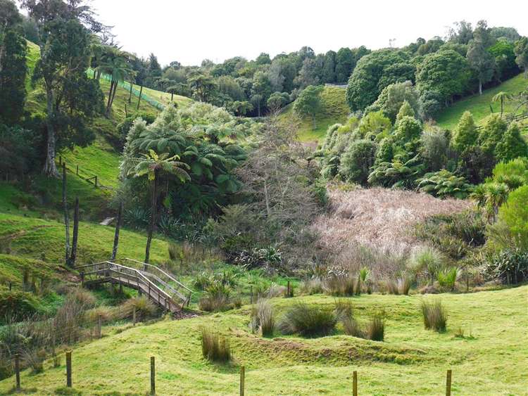 17b Rennell Street Frankleigh Park_14