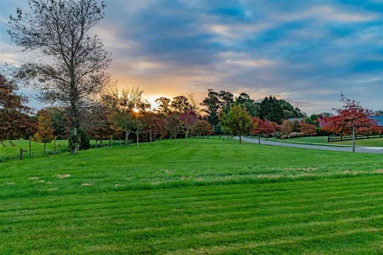 8 Te Haunui Lane Pegasus_23