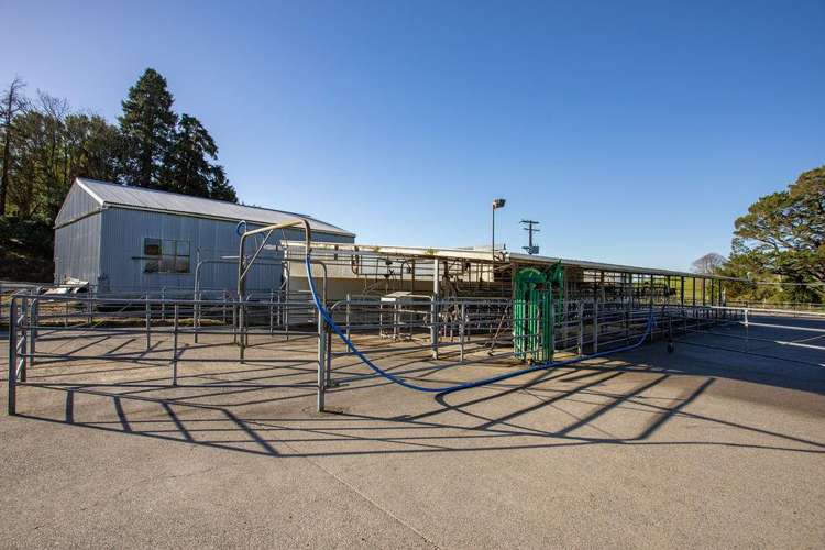 454 Parkville Road Eketahuna_3