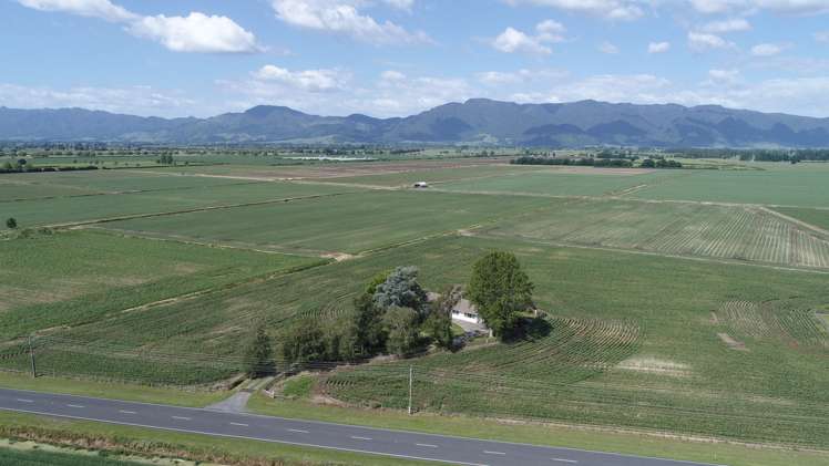 1291 Alexandra Road Waharoa_2