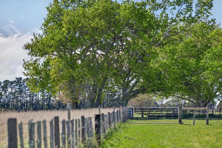 2 / 36A Spencer Lane Greytown_6