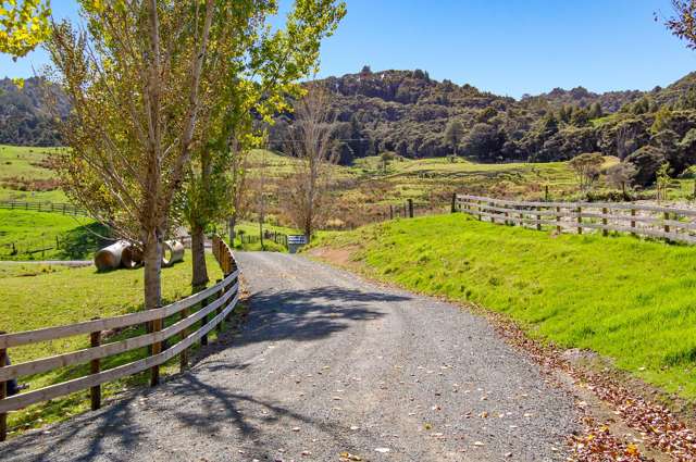 Lot 1 Mountain Road Maungaturoto_3
