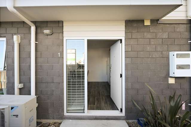 1/3 Somerset Street Frankton_1
