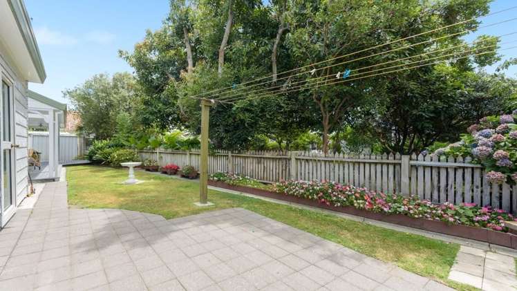 12b Alexander Street Tauranga South_5