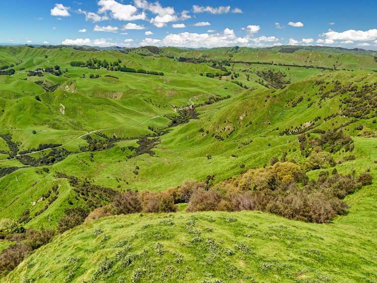 34 O’Neills Road Kakatahi_4