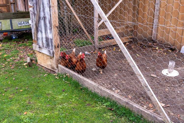 45a Jellicoe Drive Hamilton East_15