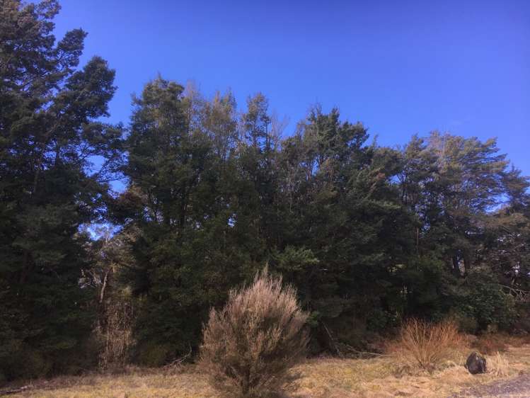 100 Burns Street Ohakune_8