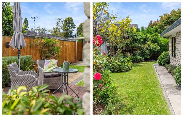 529a Devonport Road Tauranga South_19