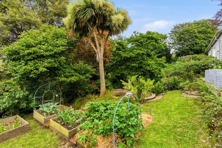 20 McGeorge Avenue Mornington_28